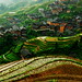 Ping Li Photo 32