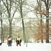 Theresa Bechtel Photo 12