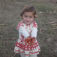 Mohammad Shinwari Photo 9