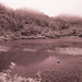Erwin Delgado Photo 6