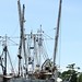 Shelley Parish Photo 7
