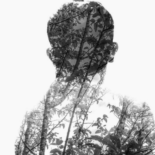 Stephen Forster Photo 22
