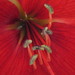Doreen Lee Photo 39