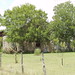 Michael Rausch Photo 18