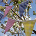 Deborah Sparks Photo 16