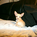 Rosie Monroe Photo 11