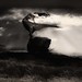 Ray Stanton Photo 7