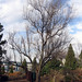 Sharon Brooks Photo 39