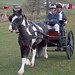 Patsy Simpson Photo 16