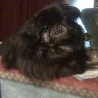 Lorne Watson Photo 3