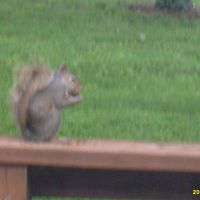 Joe Heble Photo 1