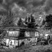 Andrea Weis Photo 9