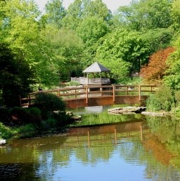 Mary Tomlin Photo 12