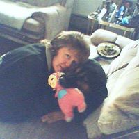 Terri Shepard Photo 13