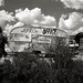 Jo Godwin Photo 8
