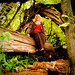 Alicia Adair Photo 17