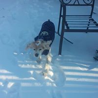 Marjorie Wiley Photo 7