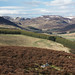 Glen English Photo 10