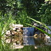 Stacy Parks Photo 14
