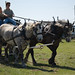 Debbie Dugger Photo 13