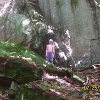 David Wheeler Photo 18