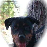 Mary Shugart Photo 8
