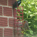 Robin Means Photo 13
