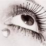 Paula Link Photo 16