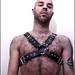 Don Harness Photo 4