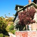 Gertrude Sherman Photo 8