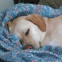 Judy Morrison Photo 41