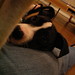 Callie Head Photo 6