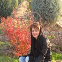 Leila Azizi Photo 8