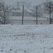 Cynthia Hutto Photo 17