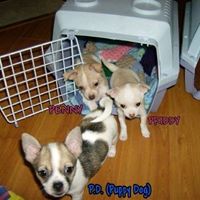 Sharron Fox Photo 16