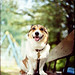 Carl Fortune Photo 15