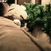 Lucy Garland Photo 16