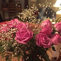 Terri Shaw Photo 36