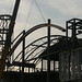 Dewayne Hall Photo 21