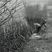 Steve Hedges Photo 23