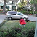 Bobbie Silva Photo 8