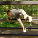 Daniel Horner Photo 14