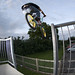 Richard Ashman Photo 12
