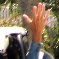 Debbie Grant Photo 32