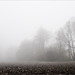 Thomas Acker Photo 26