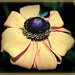 Susan Golden Photo 35