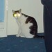 Patsy Preston Photo 11