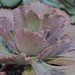 Ruth Janes Photo 8