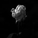 Karl Reimer Photo 8