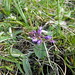 Dale Cress Photo 4
